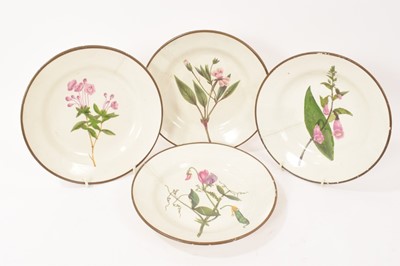 Lot 145 - Four pearlware botanical plates, each with polychrome painted specimens and inscribed titles to bases, 22cm diameter