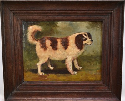 Lot 1008 - English School oil on panel - A Spaniel, 25cm x 32cm, in oak frame