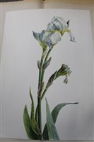 Lot 1243 - *Glyn Morgan (1926 - 2015), watercolour -...