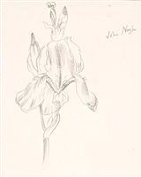 Lot 1247 - Glyn Morgan (1926 - 2015) and John Nash (1893 -...