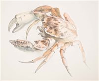Lot 1249 - *Glyn Morgan (1926 - 2015), sketchBooks, circa...