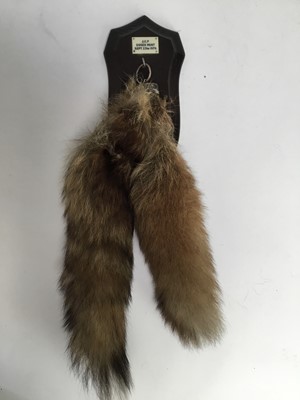 Lot 947 - Two 1970s Rowland Ward shields, one with a fox pad, the other with two fox brushes, named for the Essex Hunt September 1976