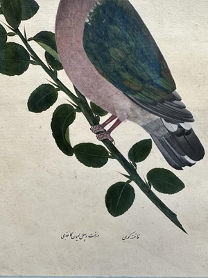 Lot 1230 - Rare set of five 19th century Calcutta Company School watercolours depicting birds and foliage