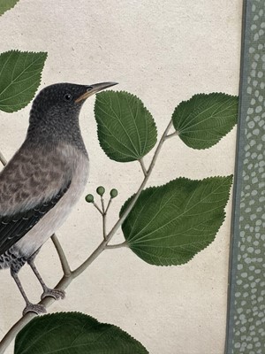 Lot 1230 - Rare set of five 19th century Calcutta Company School watercolours depicting birds and foliage