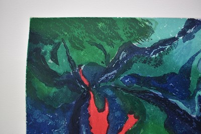 Lot 1228 - *John Hubbard (1931-2017) lithograph - Water Garden, signed and dated 1991, 76/100, 62cm x 56cm, unframed