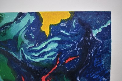 Lot 1228 - *John Hubbard (1931-2017) lithograph - Water Garden, signed and dated 1991, 76/100, 62cm x 56cm, unframed