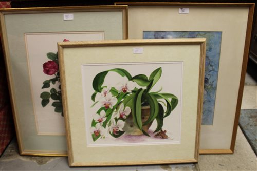 Lot 1262 - *Glyn Morgan (1926 - 2015), two botanical...