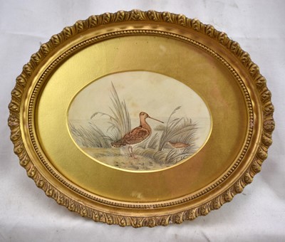 Lot 998 - Manner of Samuel Howitt, three early 19th century pencil and watercolours - Woodcock, Snipe and Mallard, 11.5cm x 16cm, in oval gilt frames