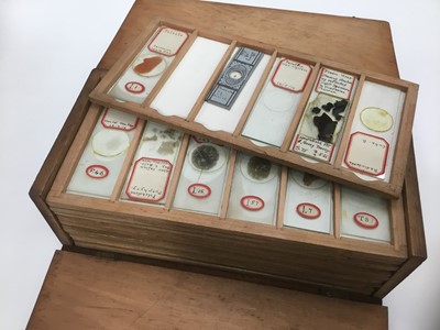 Lot 2665 - Good collection of Victorian hand prepared microscope slides