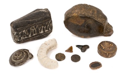 Lot 758 - Group of fossils