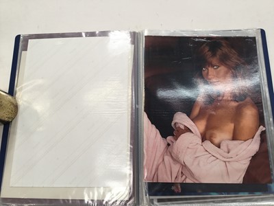 Lot 1482 - Two blue folders of glamour model photographs, Jordan, Jilly Johnson etc