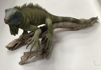 Lot 2575 - Three life-size Country Artists models of reptiles: iguana, rattle snake and baby alligator (3)