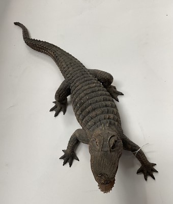 Lot 2575 - Three life-size Country Artists models of reptiles: iguana, rattle snake and baby alligator (3)