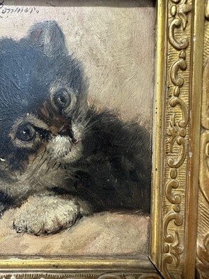 Lot 1303 - Henriëtte Ronner-Knip (1821-1909) oil on panel, study of a kitten, signed and dated '97, 11.5cm x 10cm, in gilt frame