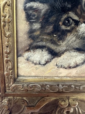 Lot 1303 - Henriëtte Ronner-Knip (1821-1909) oil on panel, study of a kitten, signed and dated '97, 11.5cm x 10cm, in gilt frame