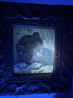 Lot 1303 - Henriëtte Ronner-Knip (1821-1909) oil on panel, study of a kitten, signed and dated '97, 11.5cm x 10cm, in gilt frame