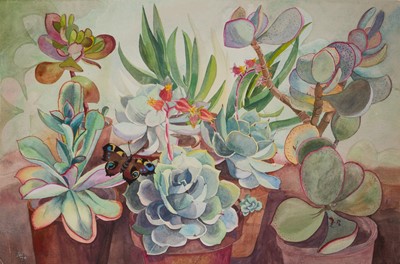 Lot 931 - *Joan Warburton (1920-1996) watercolour - Still Life of Succulents, initialled and dated '79, unframed, 36cm x 54cm