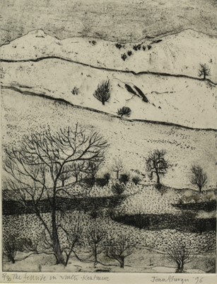 Lot 916 - *Jean Sturgis (1931-2018) etching - The Fellside in Winter, Kentmere, signed and dated ‘96, 5/30, 25cm x 20cm, in glazed frame