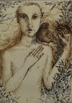 Lot 919 - Jenny Jones (Contemporary) pen and ink - Boy with Bird, titled verso, 28cm x 20cm, in glazed frame