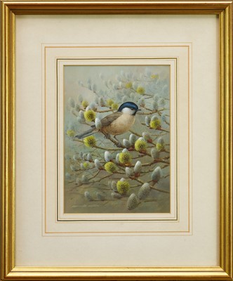 Lot 912 - *Raymond Watson (1935-1994) watercolour - The Marsh Tit, signed, 21cm x 15cm, in glazed frame