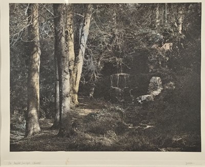 Lot 142 - Jennifer Dickson, three hand-coloured mezzotints & aquatints 'Morning Mist, Isola Bella', 'Dappled Sunlight (Bowood), 'The Cherub, Fountain, Villa Taranto' (3)