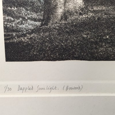 Lot 142 - Jennifer Dickson, three hand-coloured mezzotints & aquatints 'Morning Mist, Isola Bella', 'Dappled Sunlight (Bowood), 'The Cherub, Fountain, Villa Taranto' (3)