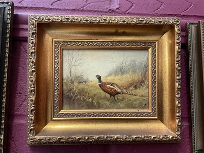 Lot 280 - James Wright oil on board, Pheasant and another oil