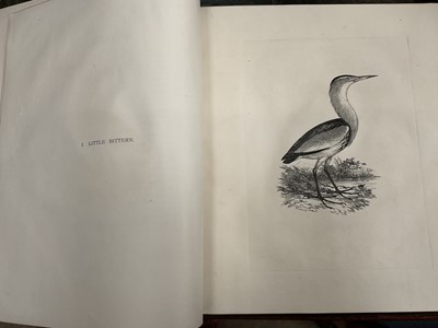 Lot 865 - Edward Backhouse Jnr. (1808-1879), bound collection of etchings of birds, circa 1840