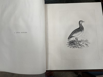 Lot 865 - Edward Backhouse Jnr. (1808-1879), bound collection of etchings of birds, circa 1840