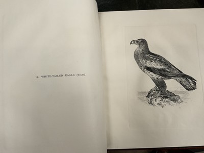 Lot 865 - Edward Backhouse Jnr. (1808-1879), bound collection of etchings of birds, circa 1840