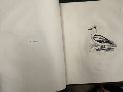 Lot 865 - Edward Backhouse Jnr. (1808-1879), bound collection of etchings of birds, circa 1840