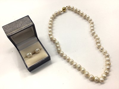 Lot 1028 - Freshwater pearl single string necklace with 9ct gold clasp and pair of similar earrings