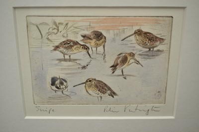 Lot 1020 - Peter Partington (b.1941) signed coloured etching - Snipe, 11.5cm x 16cm, in glazed frame Provenance: the artists studio