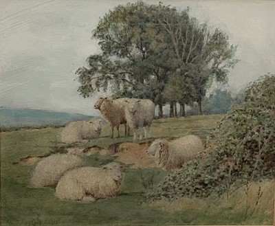 Lot 96 - William Sidney Cooper (1854-1927) watercolour - Sheep in a landscape, signed, 20cm x 24cm, in glazed frame