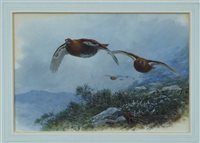 Lot 1482 - Archibald Thorburn (1860 - 1935), watercolour -...