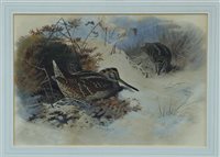 Lot 1483 - Archibald Thorburn (1860 - 1935), watercolour -...