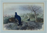 Lot 1484 - Archibald Thorburn (1860 - 1935), watercolour -...