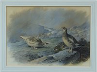 Lot 1486 - Archibald Thorburn (1860 - 1935), watercolour -...