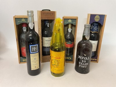 Lot 118 - Group of port and sherry, including Warre's 1992, Warre's 2002, Noval 10 years, Dow's Christmas Reserve x 2, Solera Especial, and Henriques Madeira (7 bottles)