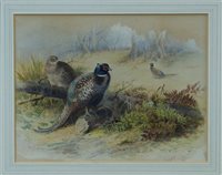 Lot 1487 - Archibald Thorburn (1860 - 1935), watercolour -...