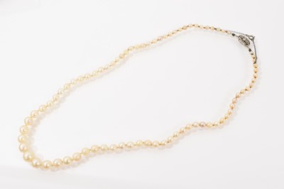 Lot 736 - Cultured pearl necklace on a gold and diamond clasp