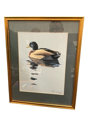 Lot 197 - Julian Novorol (b. 1949) watercolour - Mallard, signed and dated 1997, 30 x 23cm framed