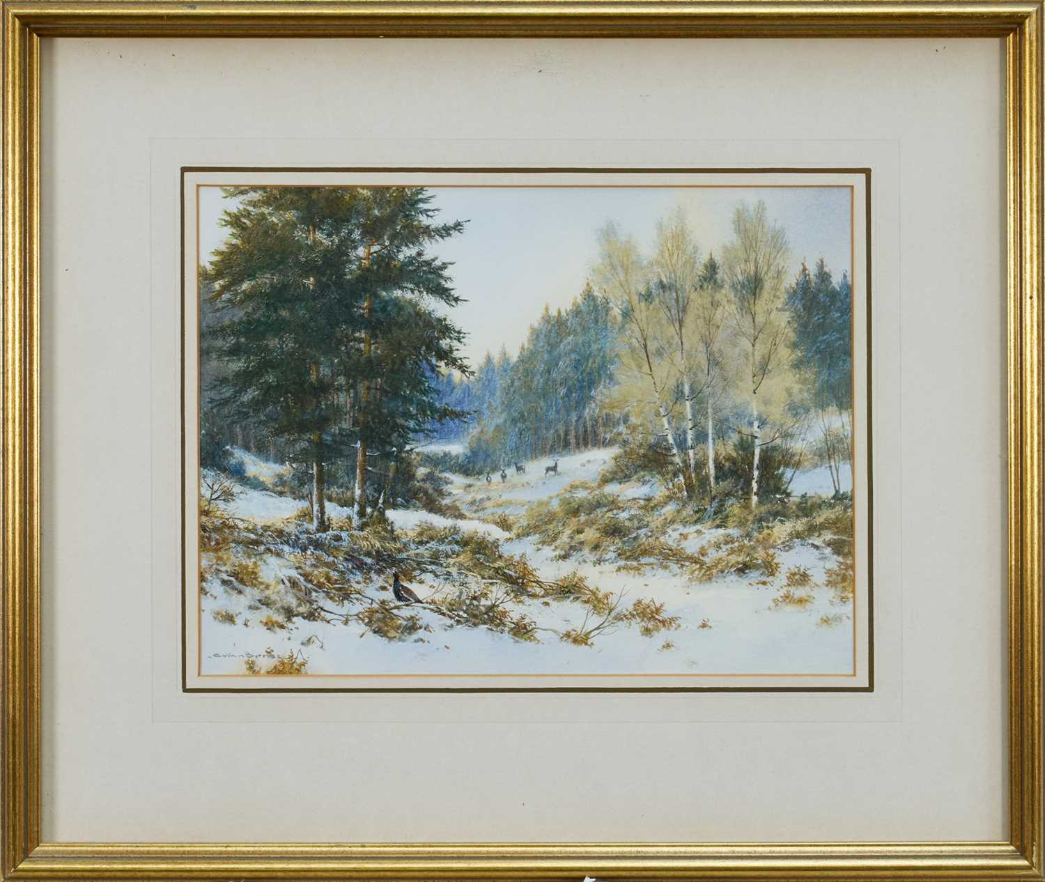 Lot 1233 - *Colin Burns (b.1944) watercolour - Capercaillie and Roe Deer in the snow, signed, 22.5cm x 30cm, in glazed gilt frame