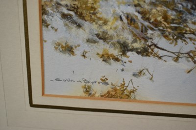 Lot 1233 - *Colin Burns (b.1944) watercolour - Capercaillie and Roe Deer in the snow, signed, 22.5cm x 30cm, in glazed gilt frame