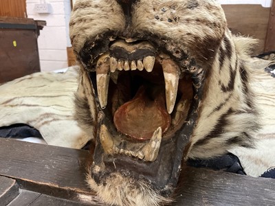 Lot 1739 - Early 20th century tiger skin on black backing, probably by Van Ingen, nose to tail 260cm x paw to paw 190cm