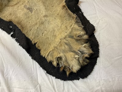 Lot 1739 - Early 20th century tiger skin on black backing, probably by Van Ingen, nose to tail 260cm x paw to paw 190cm