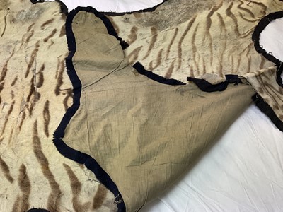 Lot 1739 - Early 20th century tiger skin on black backing, probably by Van Ingen, nose to tail 260cm x paw to paw 190cm