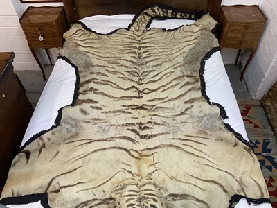 Lot 1739 - Early 20th century tiger skin on black backing, probably by Van Ingen, nose to tail 260cm x paw to paw 190cm