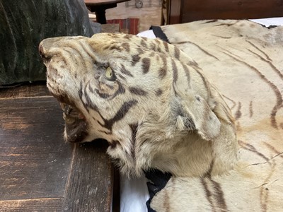 Lot 1739 - Early 20th century tiger skin on black backing, probably by Van Ingen, nose to tail 260cm x paw to paw 190cm