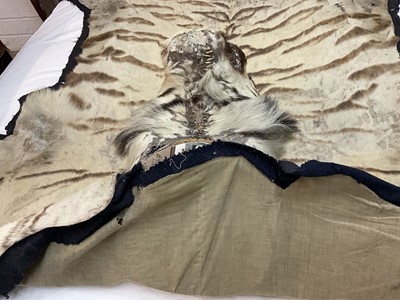 Lot 1739 - Early 20th century tiger skin on black backing, probably by Van Ingen, nose to tail 260cm x paw to paw 190cm